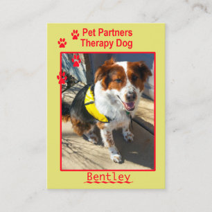 bentley revised business card