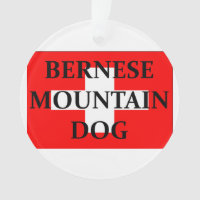 ber mt dog name switzerland flag.png