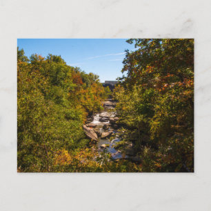 Berea Falls, Ohio Postcard