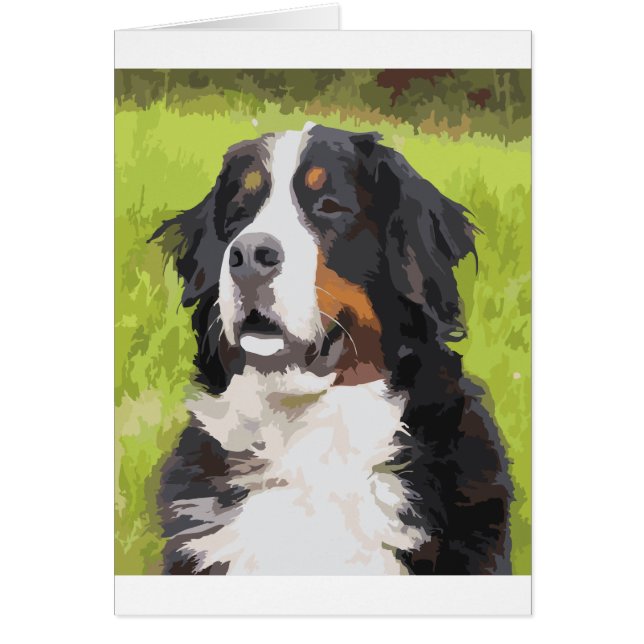 Berese mountain dog (Devant)