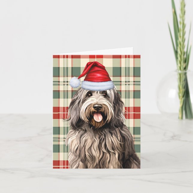 Bergamasco Christmas Dog Holiday Plaid (Front)