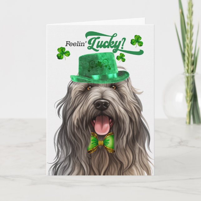 Bergamasco Dog Lucky St Patrick's Day Holiday Card (Front)