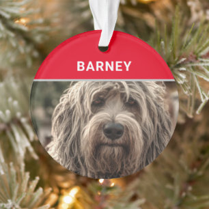 Bergamasco Nom du chien et photo Noël
