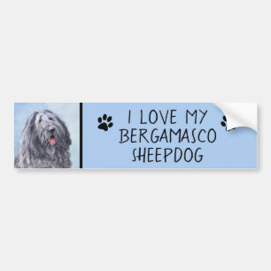 Bergamasco Sheepdog Painting - Cute Original Dog A Bumper Sticker