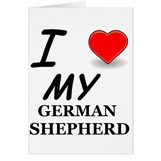 berger allemand (Devant)