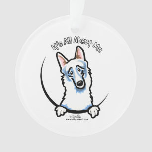 Berger allemand blanc IAAM
