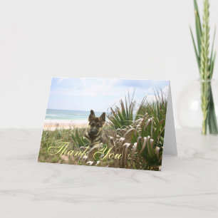 Berger allemand Carte de remerciements Beachgrass