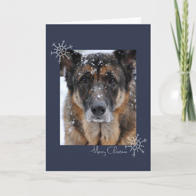 Berger allemand de Joyeux Noël dans la carte de (Devant)