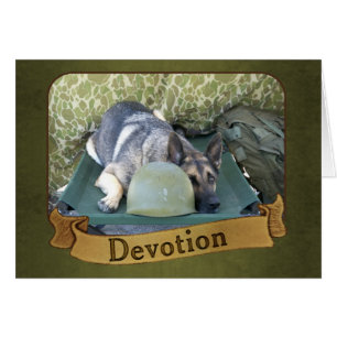 Berger allemand militaire