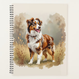 Berger Australien Red Merle Aussie
