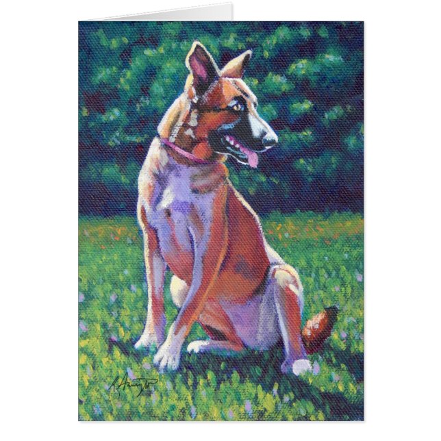 Berger malinois dans le champ de Grassy (Devant)