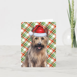 Berger Picard Christmas Dog Holiday Plaid Card