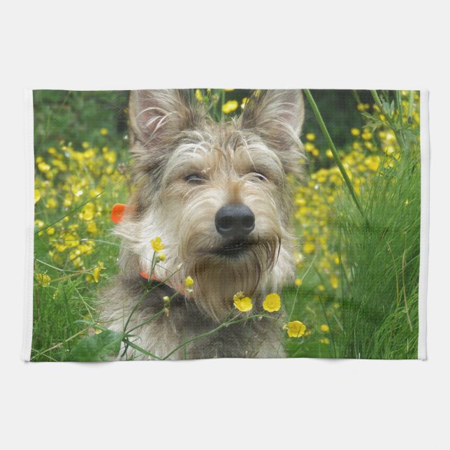 Berger Picard Dog Kitchen Towel (Horizontal)