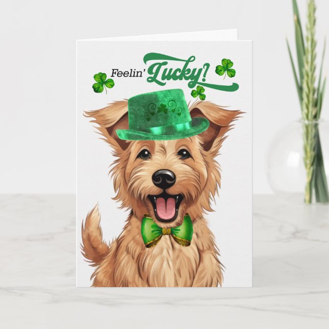 Berger Picard Dog Lucky St Patrick's Day Holiday Card (Front)