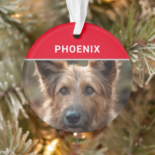 Berger Picard Dog's Name and Photo Christmas Ornament (Tree)