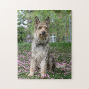 Berger Picard Jigsaw Puzzle
