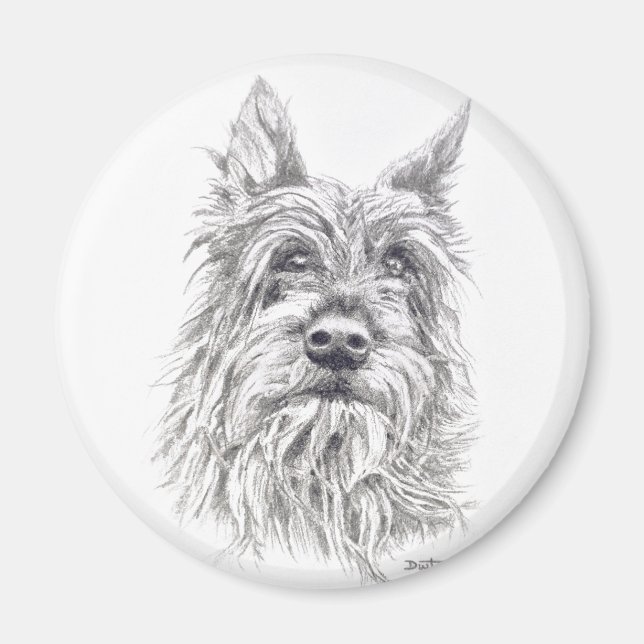 Berger Picard Magnet (Devant)