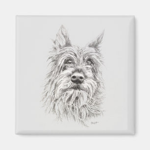 Berger Picard Magnet