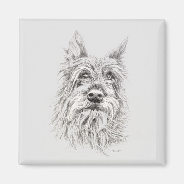 Berger Picard Magnet (Front)