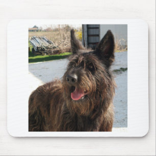 berger picard mouse pad