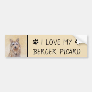 Berger Picard Painting - Cute Original Dog Art Bumper Sticker