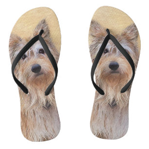 Berger Picard Painting - Cute Original Dog Art Flip Flops