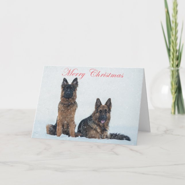 Bergers allemands dans la carte de noël de neige. (Devant)