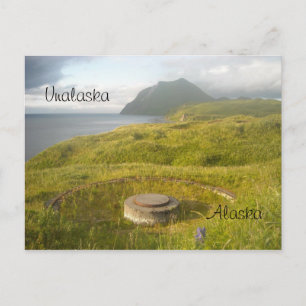 Bering Sea Coast Postcard
