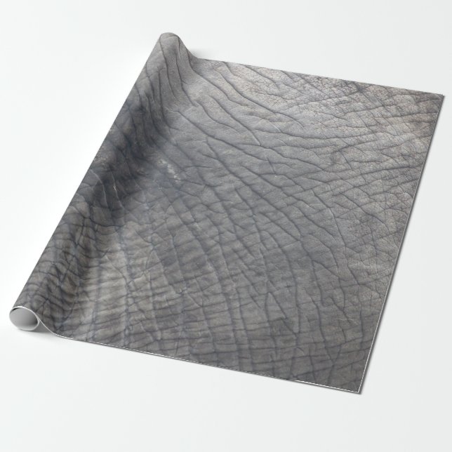 Berlin Wrapping Paper (Unrolled)