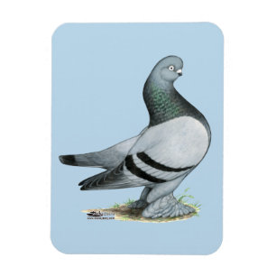 Berliner Tumbler Blue Bar Magnet
