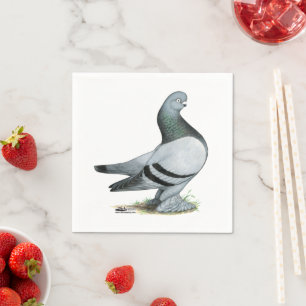 Berliner Tumbler Pigeon Blue Bar Napkin