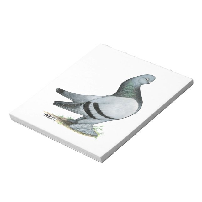 Berliner Tumbler Pigeon Blue Bar Notepad (Rotated)