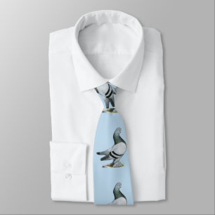 Berliner Tumbler Pigeon Blue Bar Tie