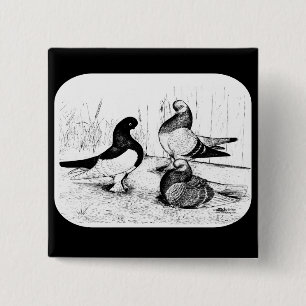 Berliner Tumbler Trio 1980 2 Inch Square Button