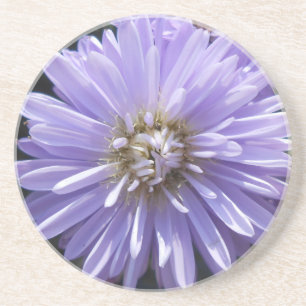 Berlinette Coaster