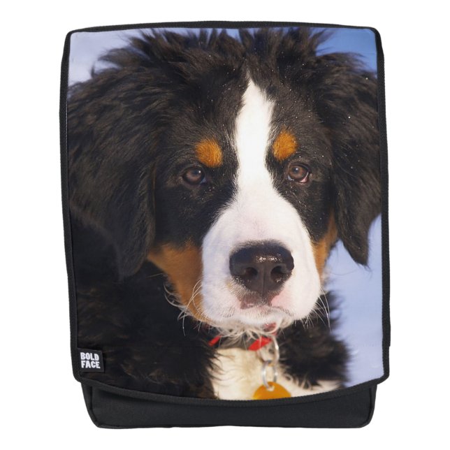 Bermese Mountain Dog Backpack (Front)