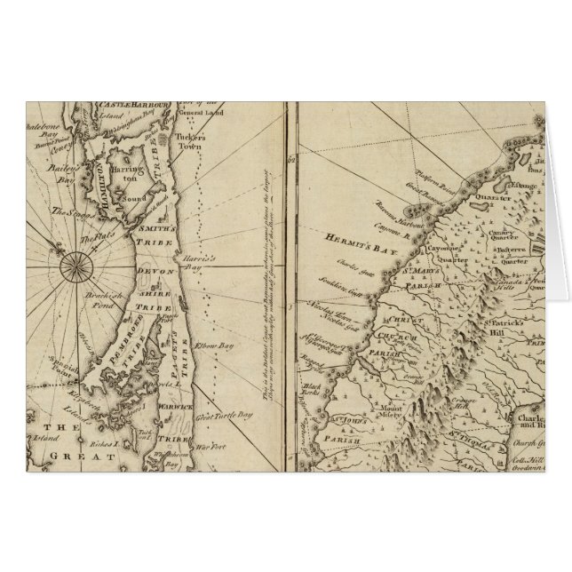 Bermuda (Front Horizontal)