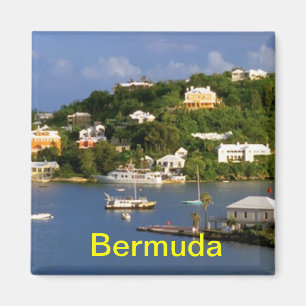 Bermuda magnet