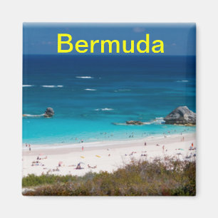 Bermuda magnet