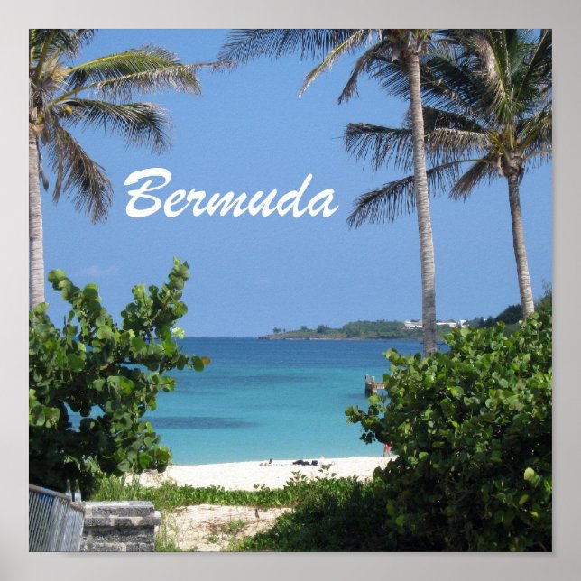 Bermuda Poster (Front)