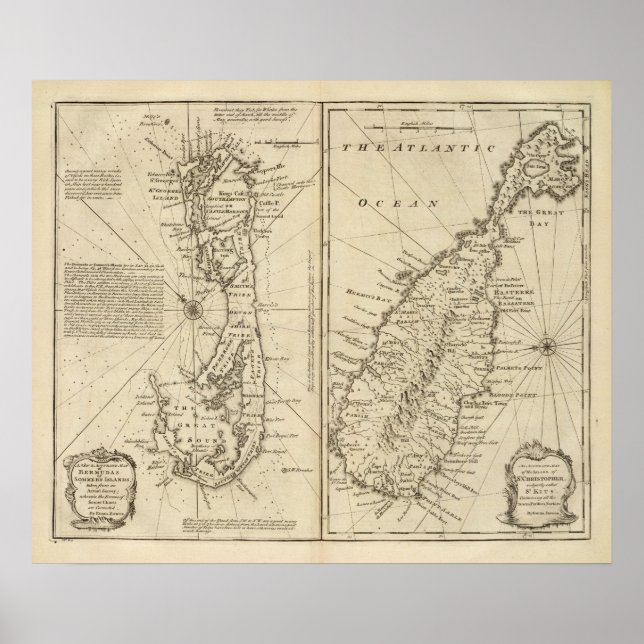 Bermuda Poster (Front)