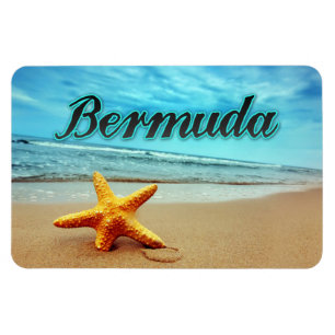 Bermuda starfish magnet