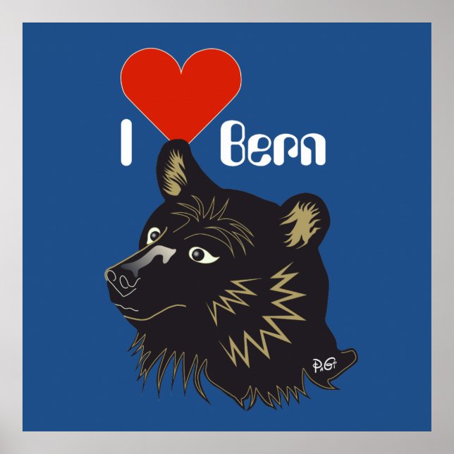Bern, Berne, Berna, Bärn, Schweiz, Suisse, Poster (Front)