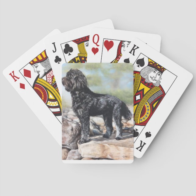 Bernadoodle dog standing on rocks playing cards (Back)