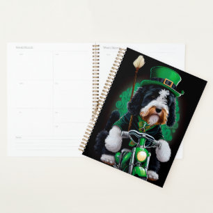Bernedoodle Chien conduisant vélo St. Patrick's Da