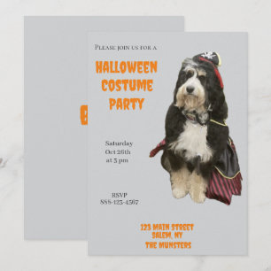 Bernedoodle Dog in Pirate Halloween Costume Party Invitation