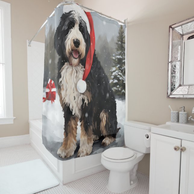 Bernedoodle Dog in Snow Christmas  (In Situ)