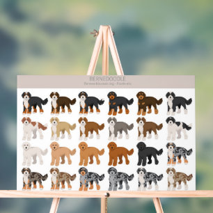 Bernedoodle dog mix acrylic sign