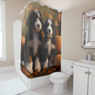 Bernedoodle Puppy Autumn Delight Pumpkin