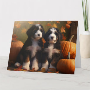 Bernedoodle Puppy Autumn Delight Pumpkin Card